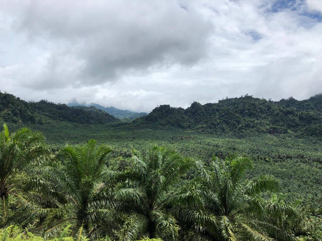 WhistleBlowing Policy