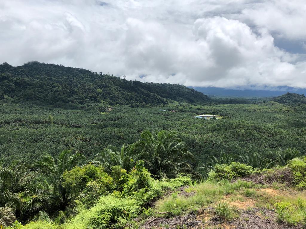 CORPORATE DISCLOSURE POLICY