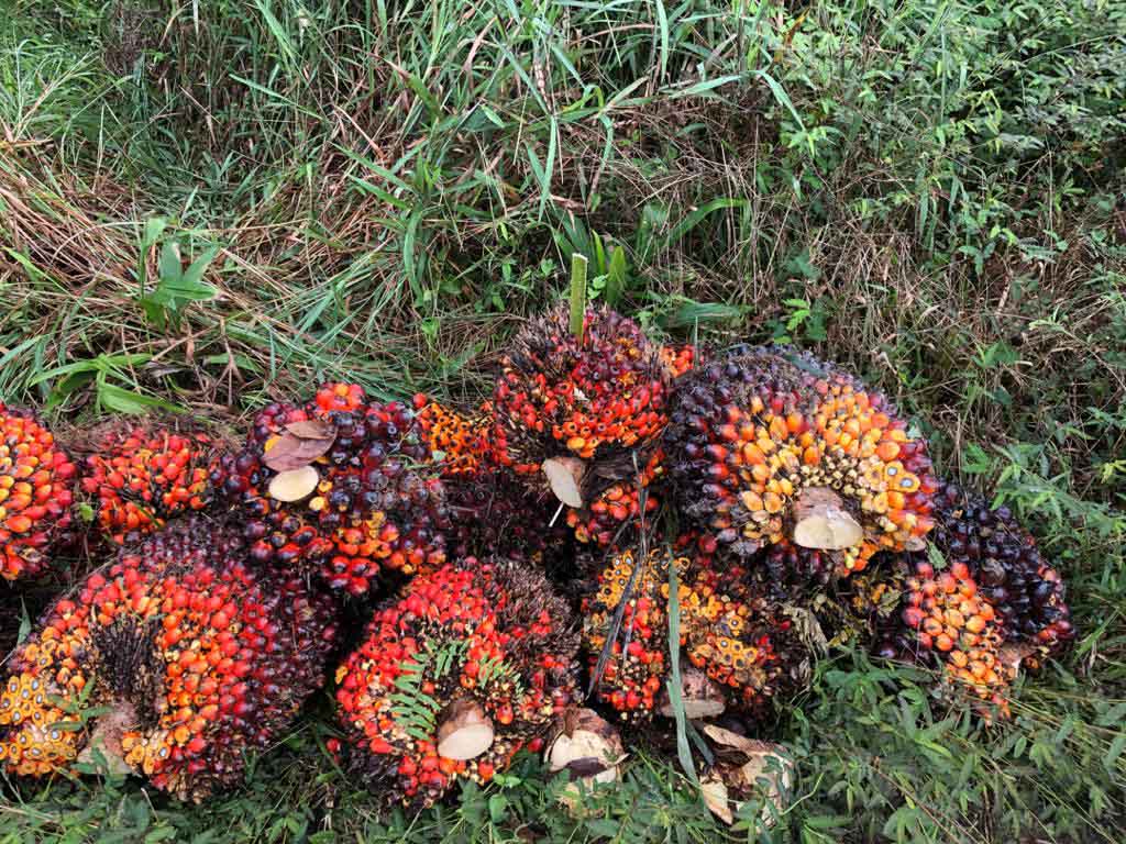 ANTI-BRIBERY AND CORRUPTION POLICY